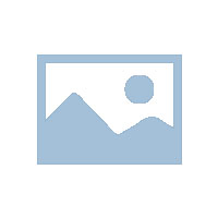 康复教师    张彩云